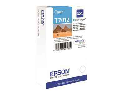 Epson C13t70124010